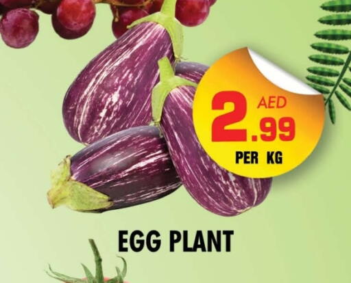 available at NIGHT TO NIGHT DEPARTMENT STORE in UAE - Dubai
