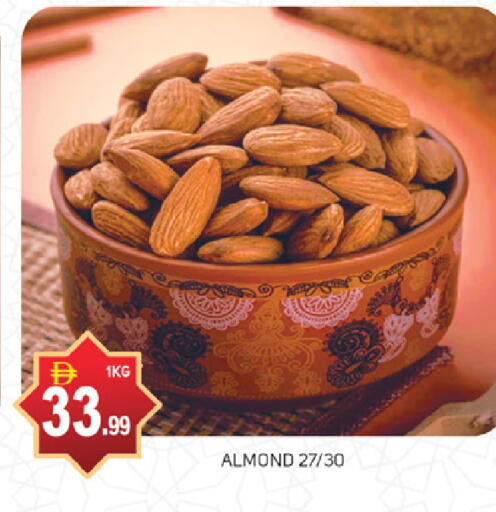 available at سوق طلال in الإمارات العربية المتحدة , الامارات - أبو ظبي