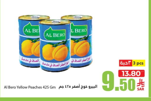 Canned & Packeted in Al Andalus Market, Saudi Arabia Offers - Saudi Arabia available at Al Andalus Market in KSA, Saudi Arabia, Saudi - Jeddah