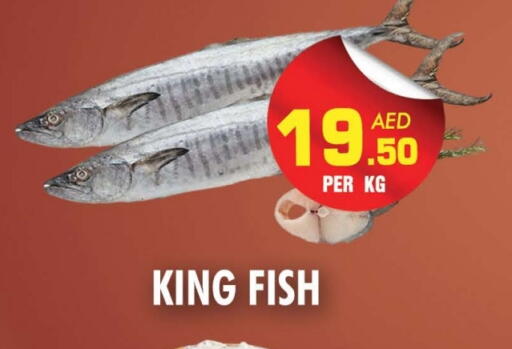 King Fish available at NIGHT TO NIGHT DEPARTMENT STORE in UAE - Sharjah / Ajman