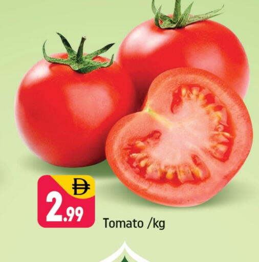 Tomato available at Shaklan  in UAE - Dubai