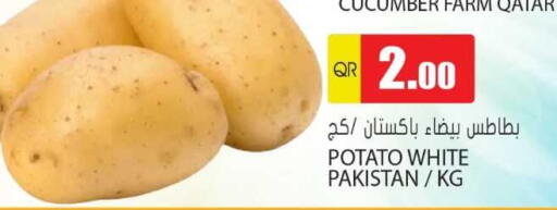 الخضروات الطازجة in جراند هايبرماركت, قطر Offers - قطر خيار from Qatar Pakistan available at جراند هايبرماركت in قطر - الريان