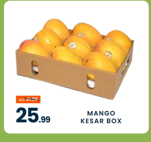 Mango Mangoes available at MADHOOR SUPERMARKET L.L.C in UAE - Dubai