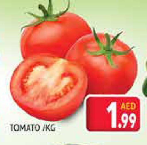 Tomato available at Palm Centre LLC in UAE - Sharjah / Ajman