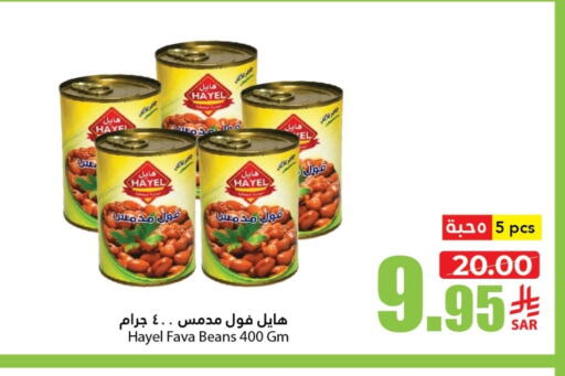 Canned & Packeted in Al Andalus Market, Saudi Arabia Offers - Saudi Arabia Fava Beans available at Al Andalus Market in KSA, Saudi Arabia, Saudi - Jeddah