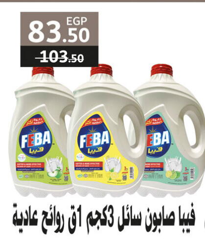 available at جيان مصر in Egypt - القاهرة
