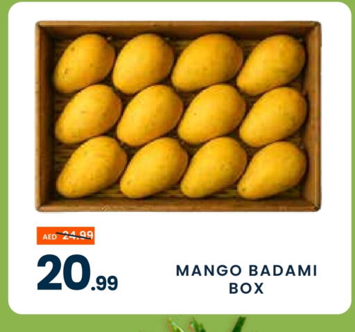 Mango Mangoes available at MADHOOR SUPERMARKET L.L.C in UAE - Dubai