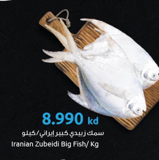 available at The Sultan Center in Kuwait - Kuwait City