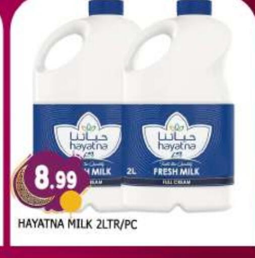 HAYATNA Fresh Milk available at AL MADINA (Dubai) in UAE - Dubai