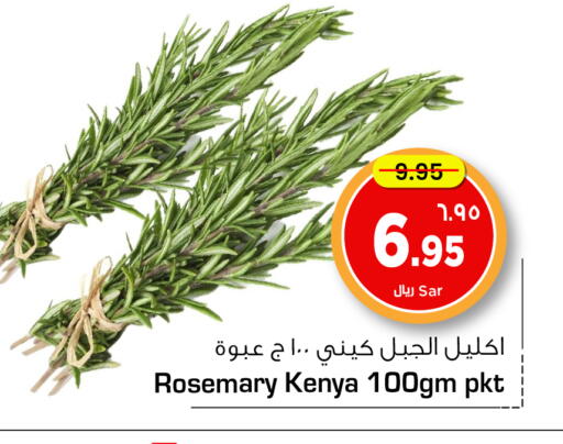 Fresh Vegetables in Hyper Al Wafa, Saudi Arabia Offers - Saudi Arabia Rosemary from Kenya available at Hyper Al Wafa in KSA, Saudi Arabia, Saudi - Ta'if