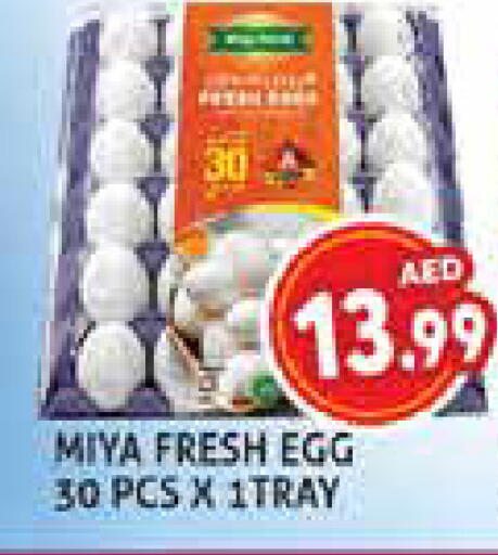available at Palm Centre LLC in UAE - Sharjah / Ajman