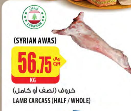 لحم الضأن / الغنم available at شركة الميرة للمواد الاستهلاكية in قطر - الضعاين