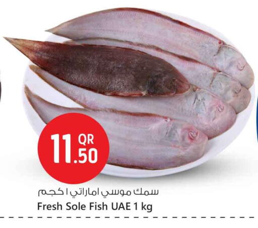 available at Safari Hypermarket in Qatar - Doha