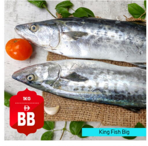 King Fish available at TALAL MARKET in UAE - Dubai