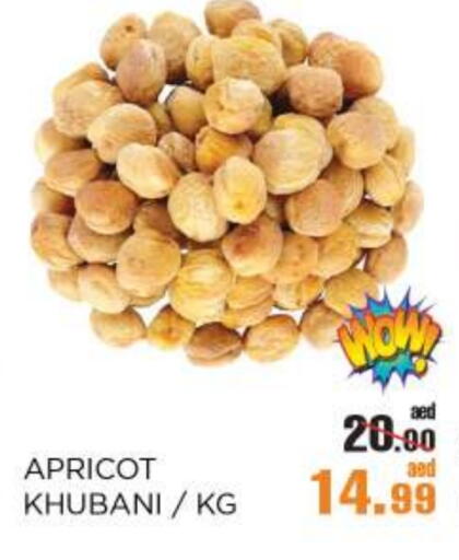 Apricot available at OK Hypermarket LLC SPC in UAE - Abu Dhabi