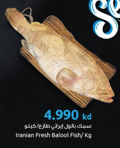 available at The Sultan Center in Kuwait - Kuwait City