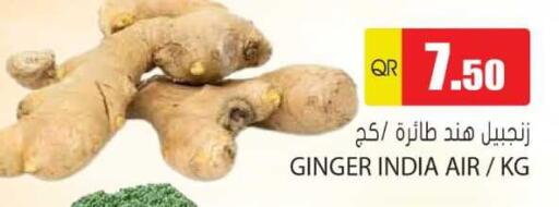 الخضروات الطازجة in جراند هايبرماركت, قطر Offers - قطر زنجبيل from India available at جراند هايبرماركت in قطر - الريان