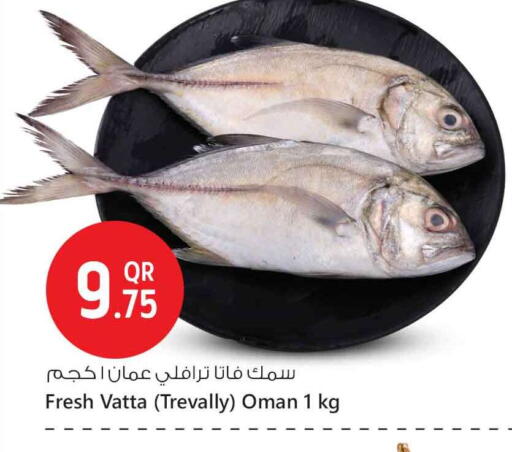 available at Safari Hypermarket in Qatar - Al-Shahaniya