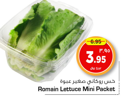 Fresh Vegetables in Hyper Al Wafa, Saudi Arabia Offers - Saudi Arabia Lettuce available at Hyper Al Wafa in KSA, Saudi Arabia, Saudi - Ta'if
