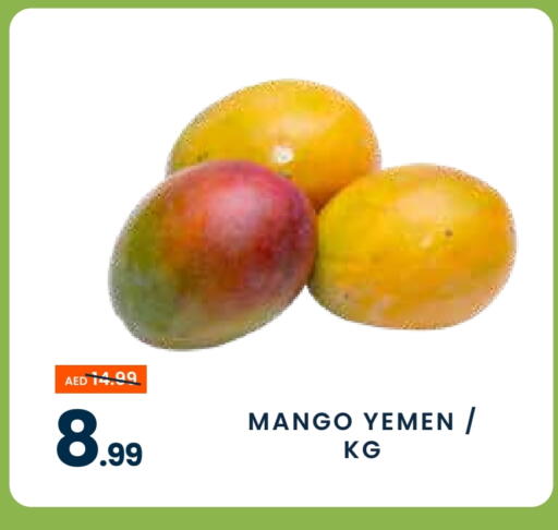Mango Mangoes from Yemen available at MADHOOR SUPERMARKET L.L.C in UAE - Dubai