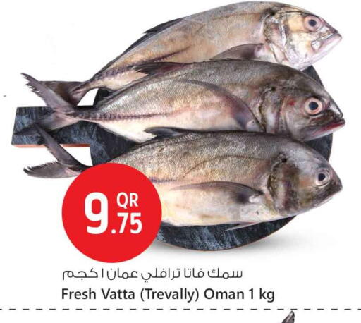 available at Safari Hypermarket in Qatar - Al Daayen