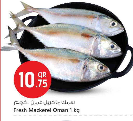 available at سفاري هايبر ماركت in قطر - الدوحة