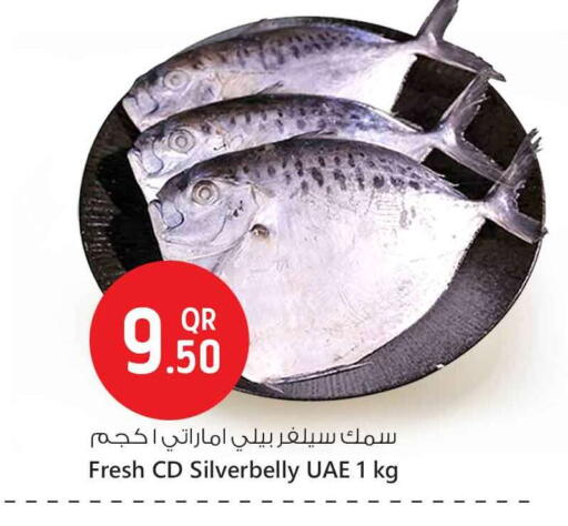 available at سفاري هايبر ماركت in قطر - الخور