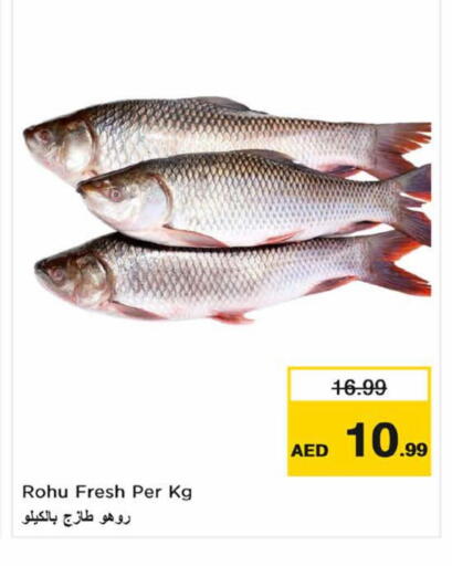 available at نستو هايبرماركت in الإمارات العربية المتحدة , الامارات - ٱلْعَيْن‎