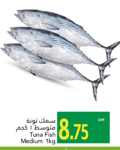 available at جلف فود سنتر in قطر - الدوحة