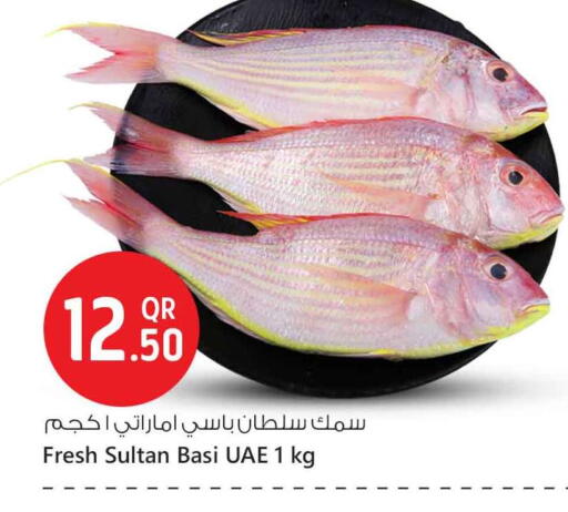 available at Safari Hypermarket in Qatar - Al Rayyan
