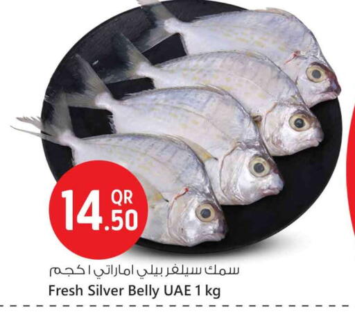 available at Safari Hypermarket in Qatar - Al Rayyan