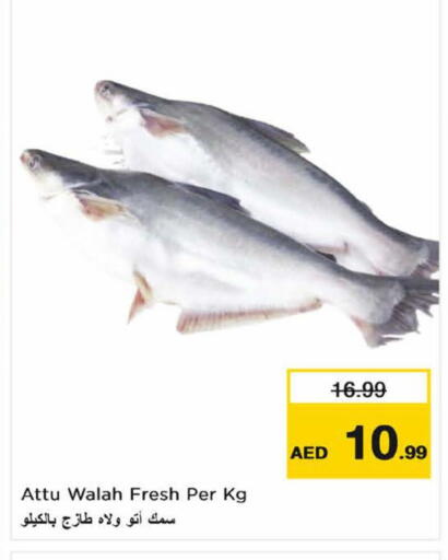 available at نستو هايبرماركت in الإمارات العربية المتحدة , الامارات - ٱلْعَيْن‎