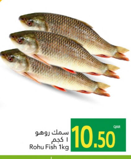 available at جلف فود سنتر in قطر - الدوحة