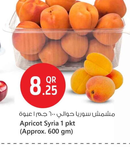 Apricot available at Safari Hypermarket in Qatar - Al-Shahaniya