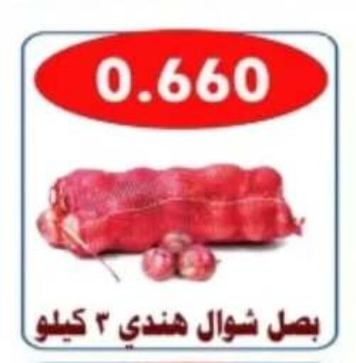 Onion available at Al Ahmadi Cooperative Society in Kuwait - Ahmadi Governorate