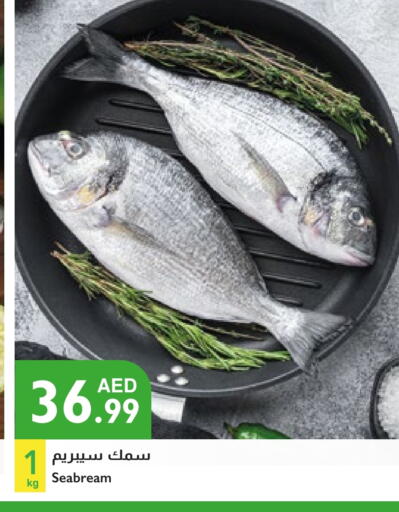 available at Istanbul Supermarket in UAE - Dubai