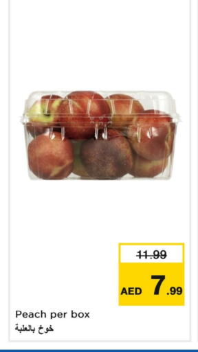 برقوق available at لاست تشانس in الإمارات العربية المتحدة , الامارات - ٱلْفُجَيْرَة‎