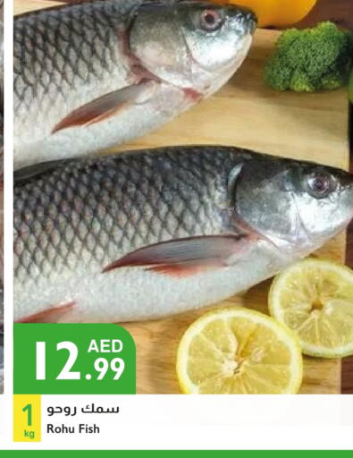 available at Istanbul Supermarket in UAE - Dubai