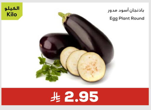 available at Astra Markets in KSA, Saudi Arabia, Saudi - Tabuk