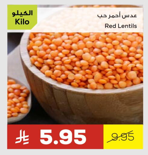 available at أسواق أسترا in مملكة العربية السعودية, السعودية, سعودية - تبوك