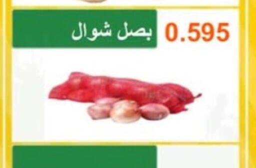 Onion available at Abu Halifa Co-Op Society  in Kuwait - Ahmadi Governorate