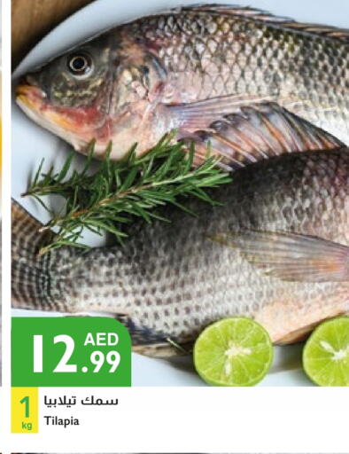 available at Istanbul Supermarket in UAE - Dubai