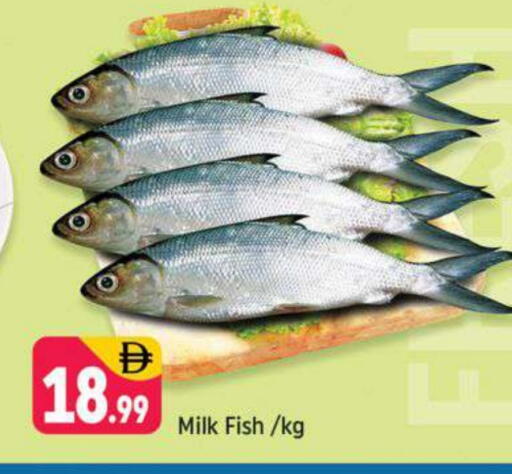available at Shaklan  in UAE - Dubai