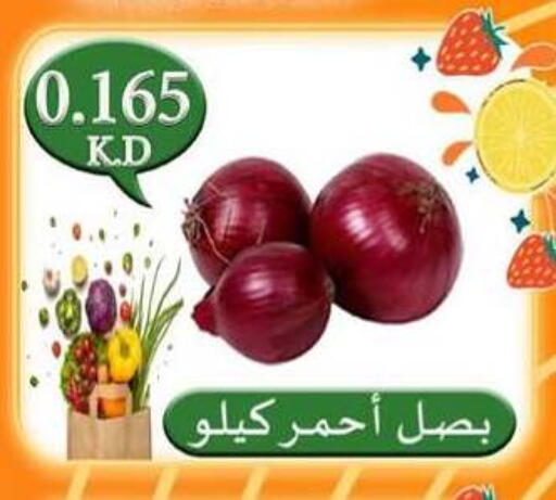 Onion available at  Al Adan And Al Qusor Co-Op in Kuwait - Ahmadi Governorate