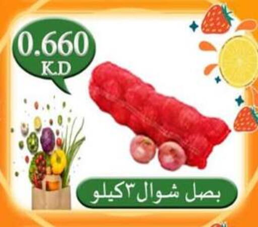 Onion available at  Al Adan And Al Qusor Co-Op in Kuwait - Ahmadi Governorate
