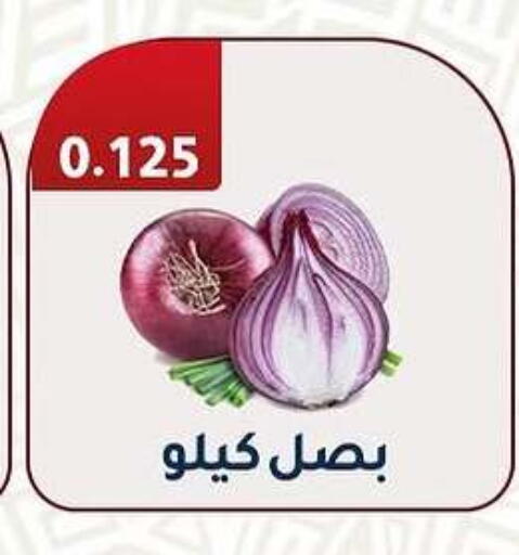 Onion available at Al Fahaheel Co - Op Society in Kuwait - Ahmadi Governorate