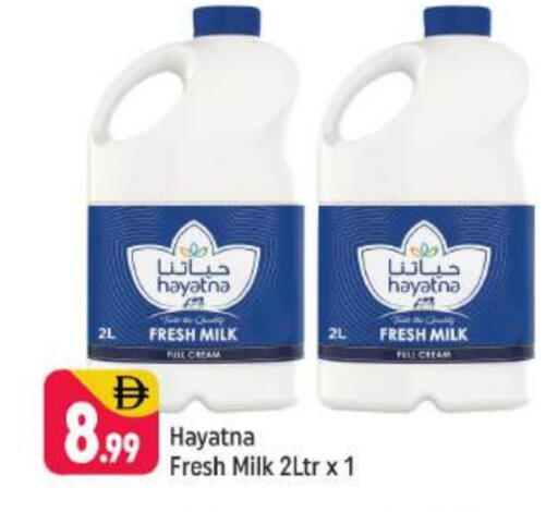 HAYATNA Fresh Milk available at Shaklan  in UAE - Dubai