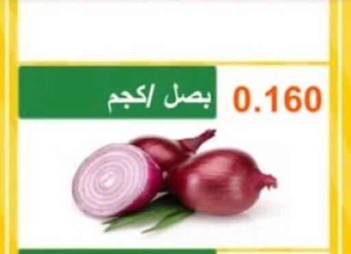 Onion available at Abu Halifa Co-Op Society  in Kuwait - Ahmadi Governorate