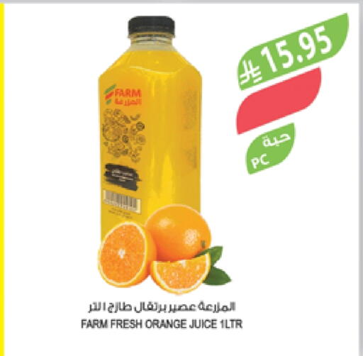 Orange available at المزرعة in مملكة العربية السعودية, السعودية, سعودية - الخرج