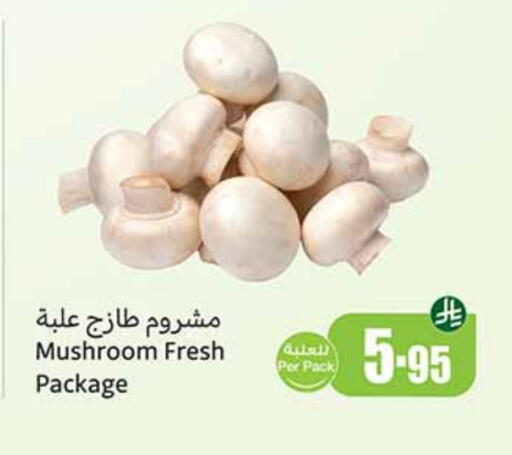 Mushroom available at Othaim Markets in KSA, Saudi Arabia, Saudi - Sakaka